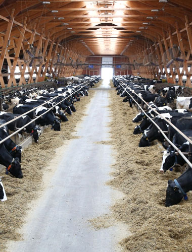 Industrie de l'agriculture et de l'élevage